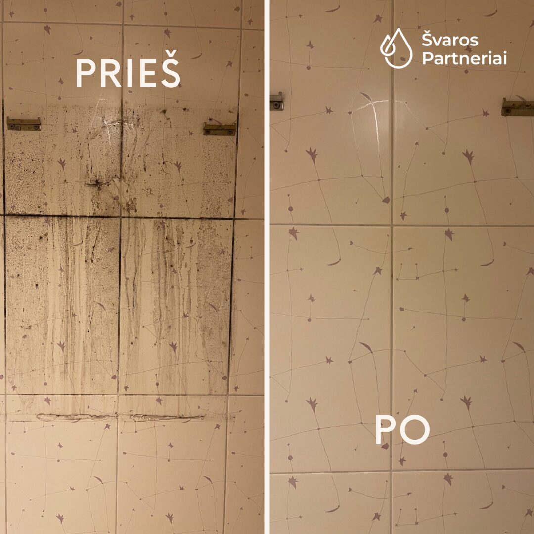 Profesionalios valymo paslaugos