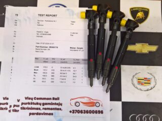 WP_20250709_08_17_48_Rich_LI-–-kopija