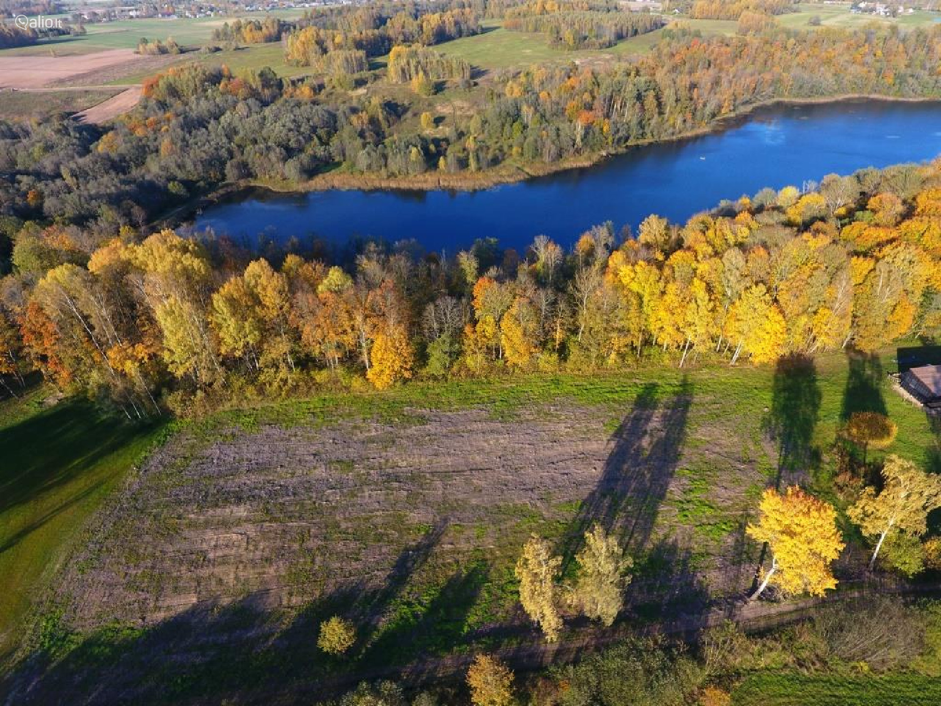 Namų valdos, miškų ūkio paskirties sklypas Širvintų r. sav.