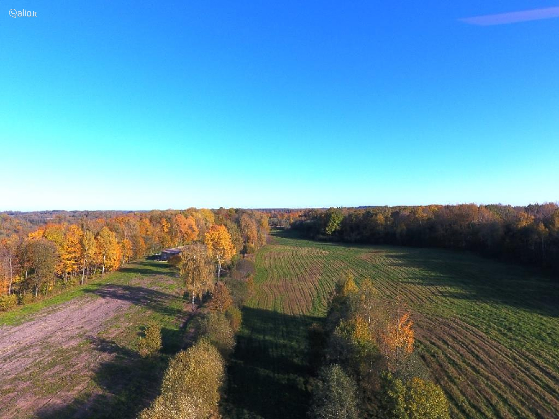 Namų valdos, miškų ūkio paskirties sklypas Širvintų r. sav.