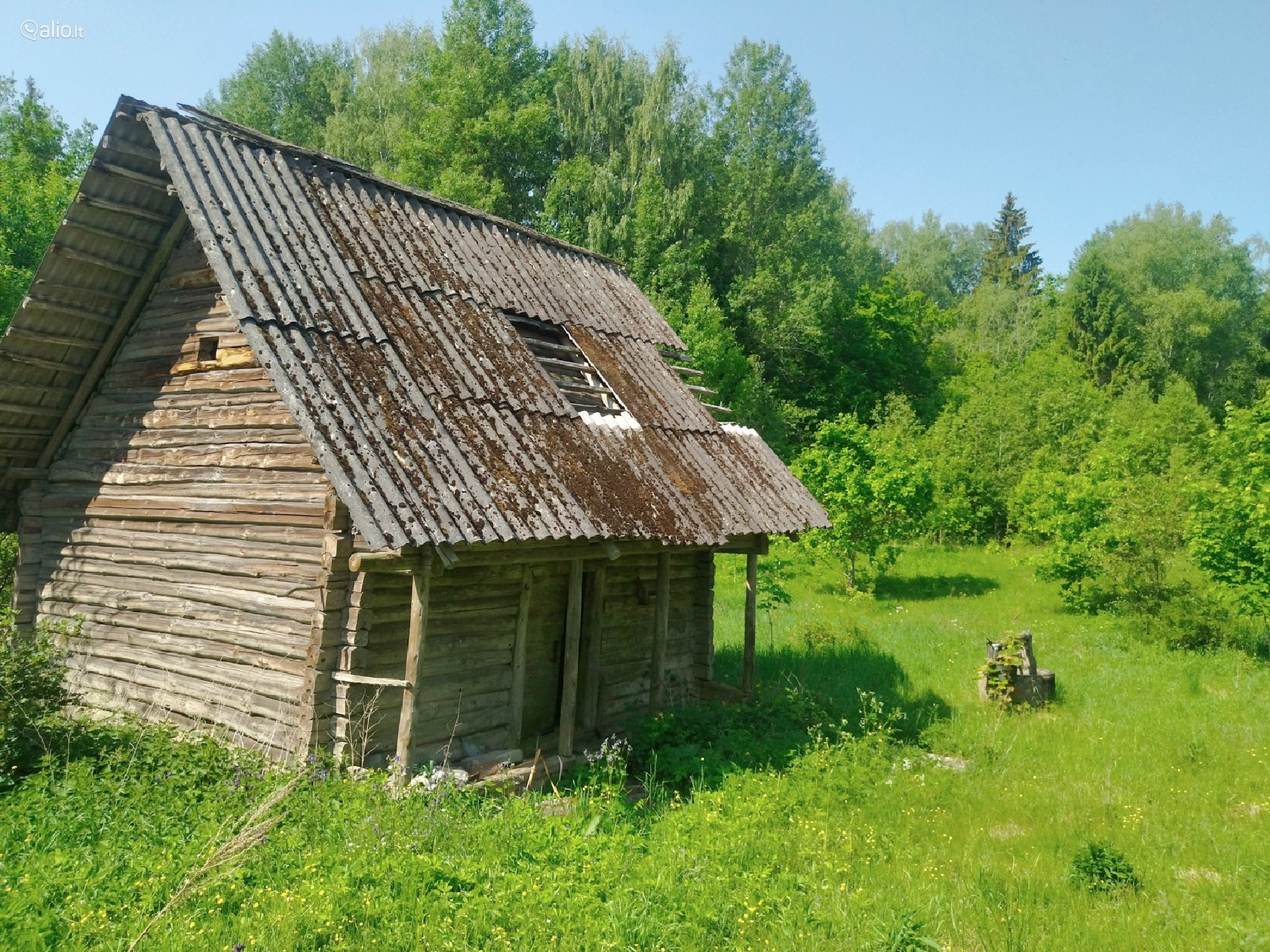 Parduodama SODYBA NUOSAVAME MIŠKE Beržinkų vs. 6, Švenčionių raj.