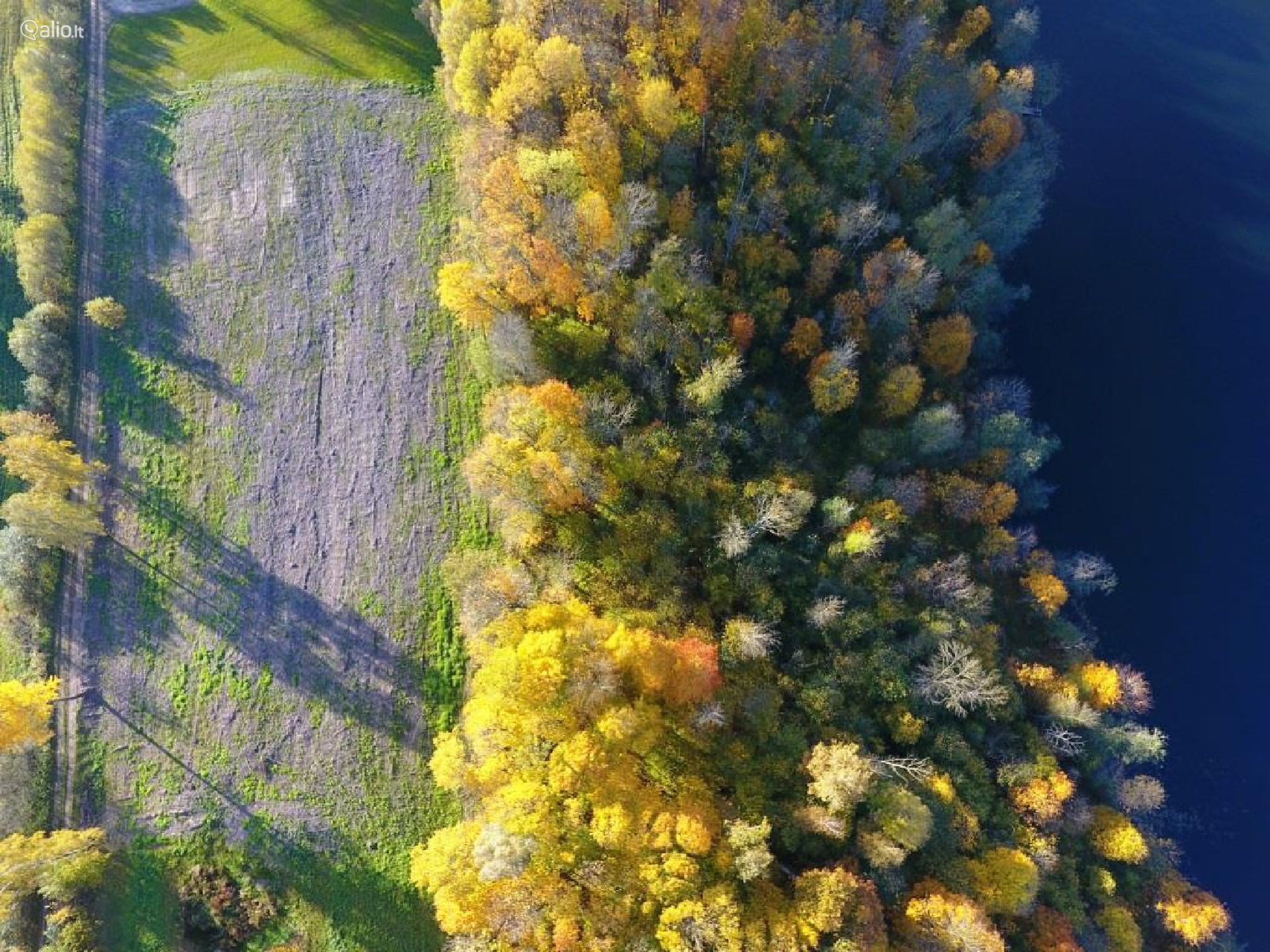 Namų valdos, miškų ūkio paskirties sklypas Širvintų r. sav.