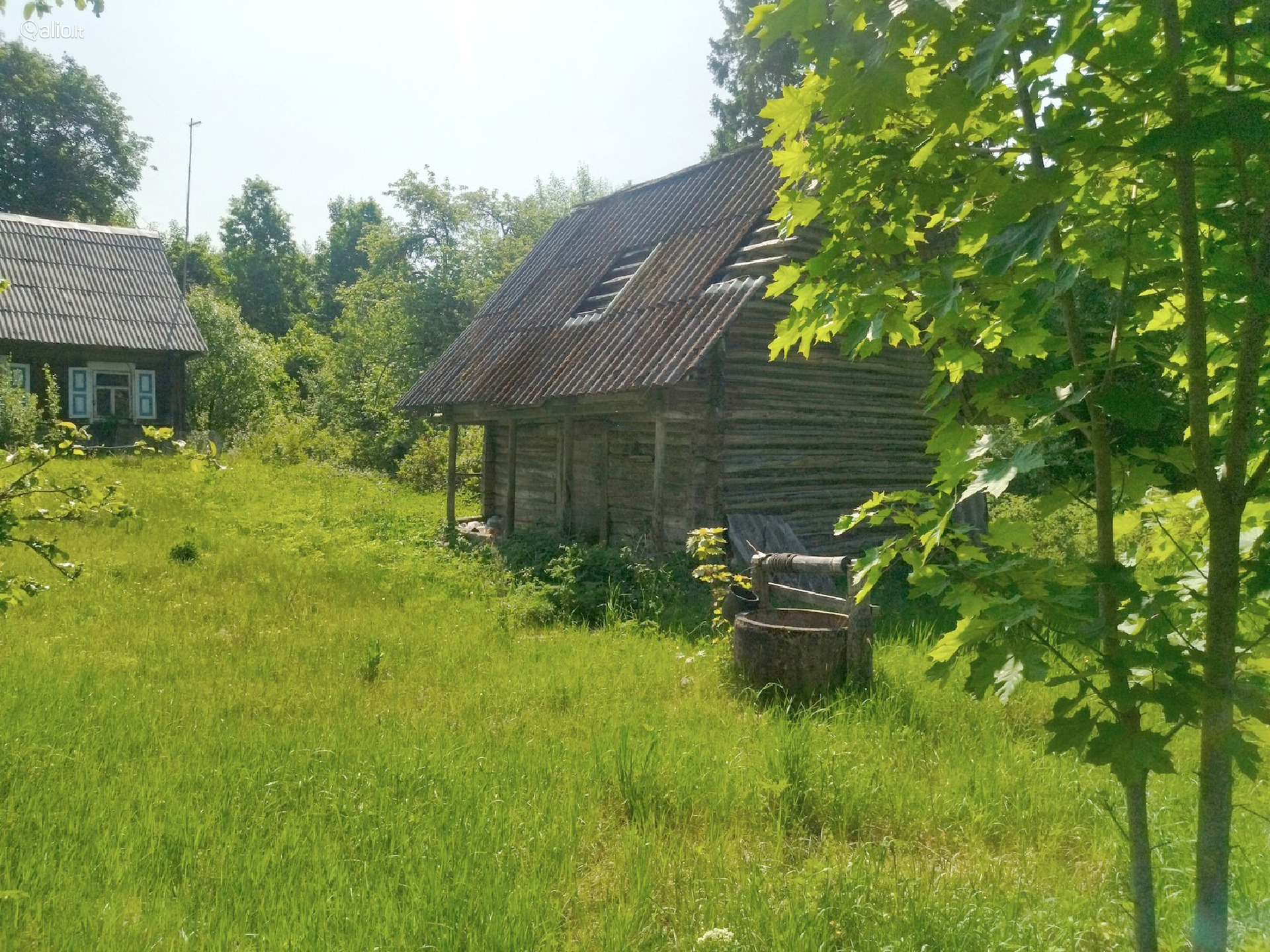 Parduodama SODYBA NUOSAVAME MIŠKE Beržinkų vs. 6, Švenčionių raj.