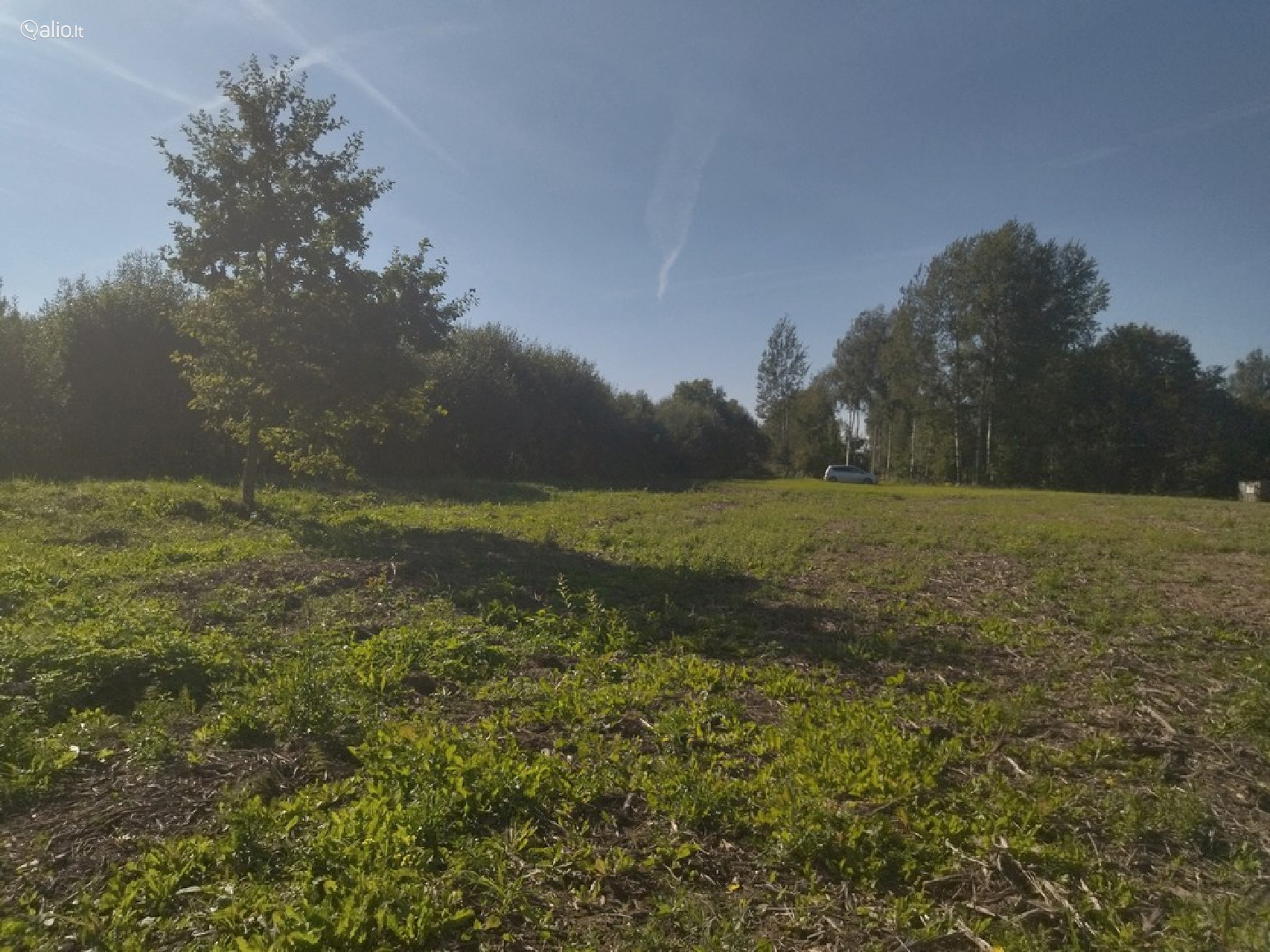 Namų valdos, miškų ūkio paskirties sklypas Širvintų r. sav.