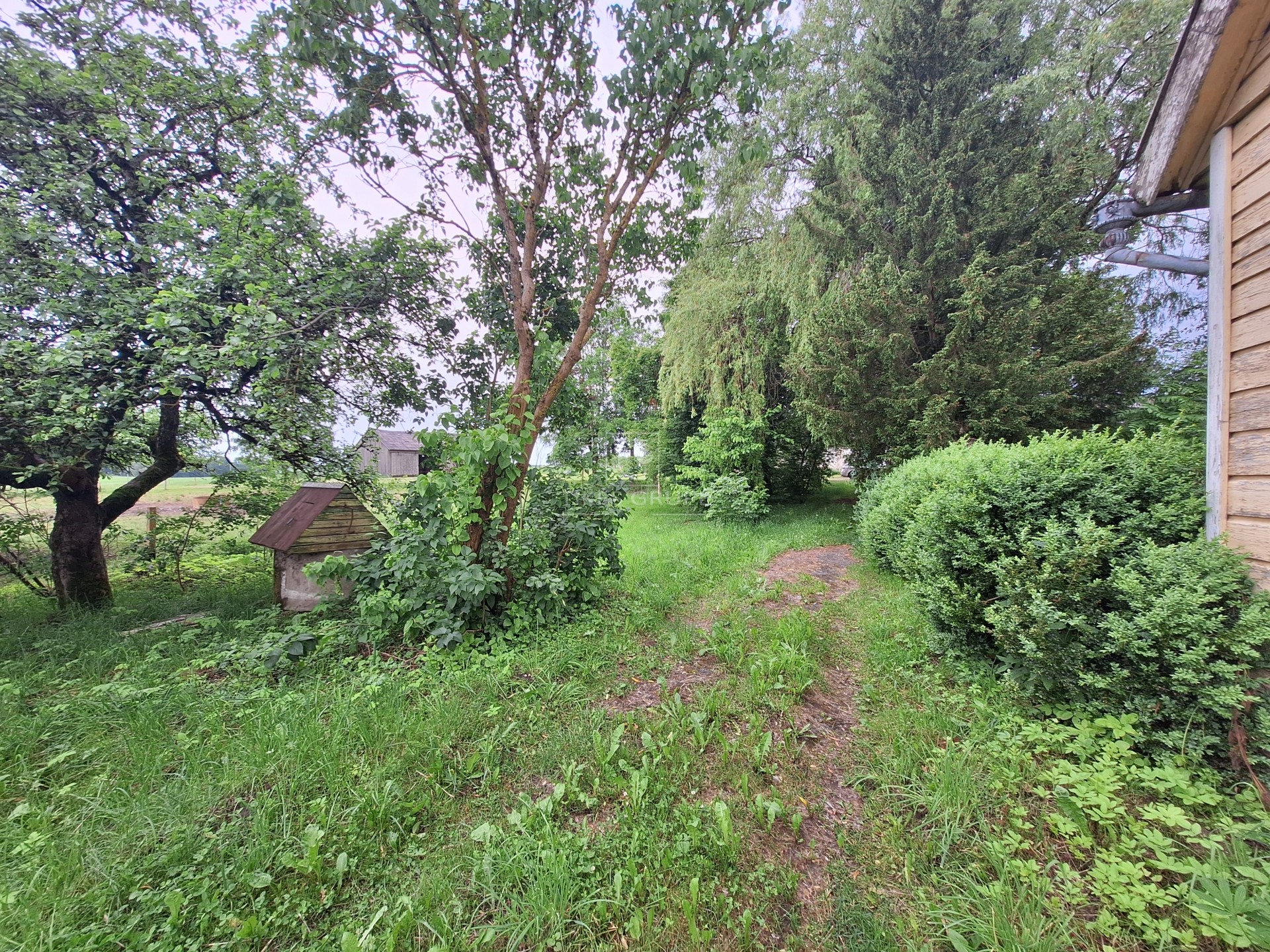 Tauragės rajone, Paplėstiškėse parduodama sodyba.