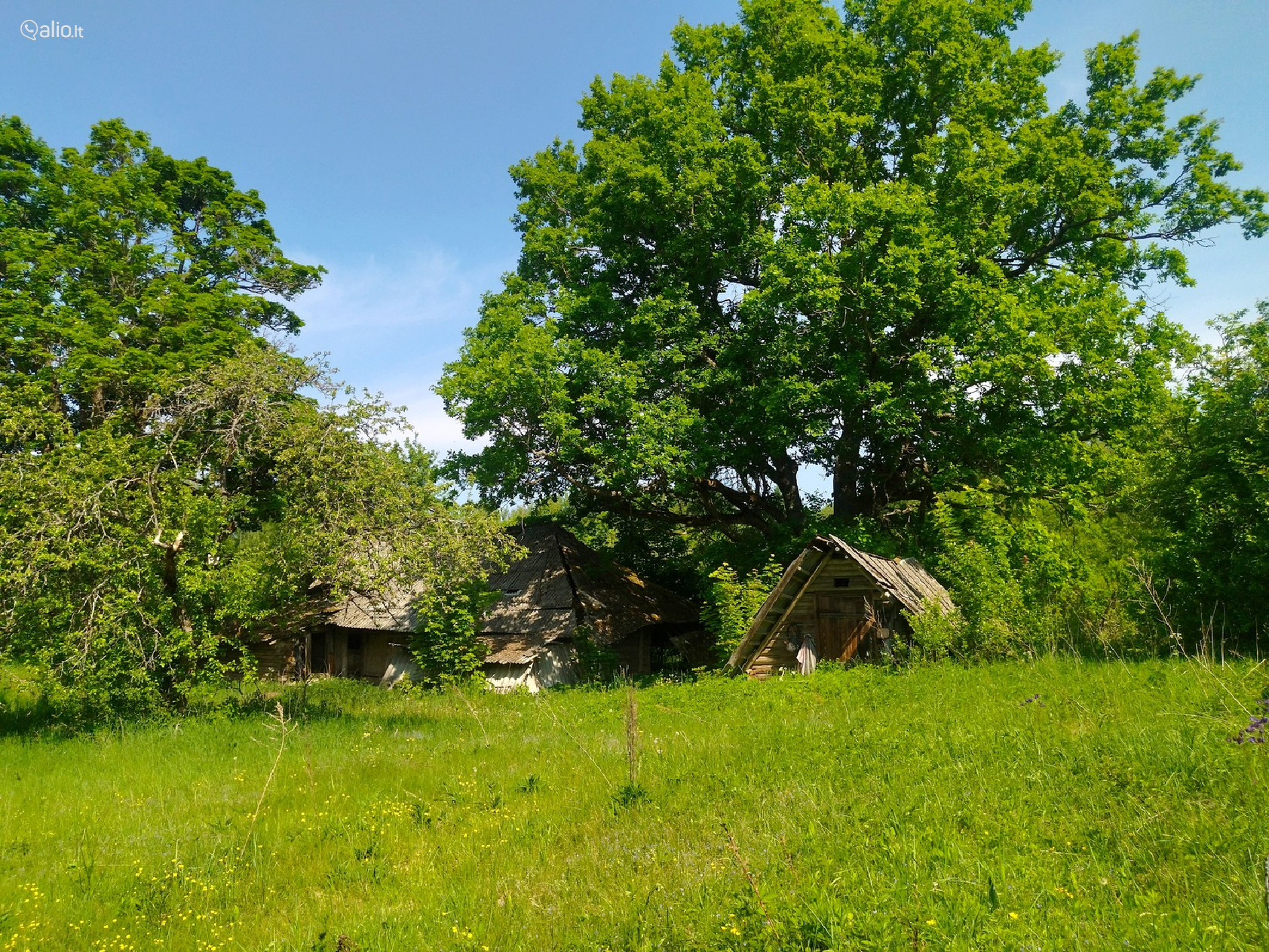 Parduodama SODYBA NUOSAVAME MIŠKE Beržinkų vs. 6, Švenčionių raj.
