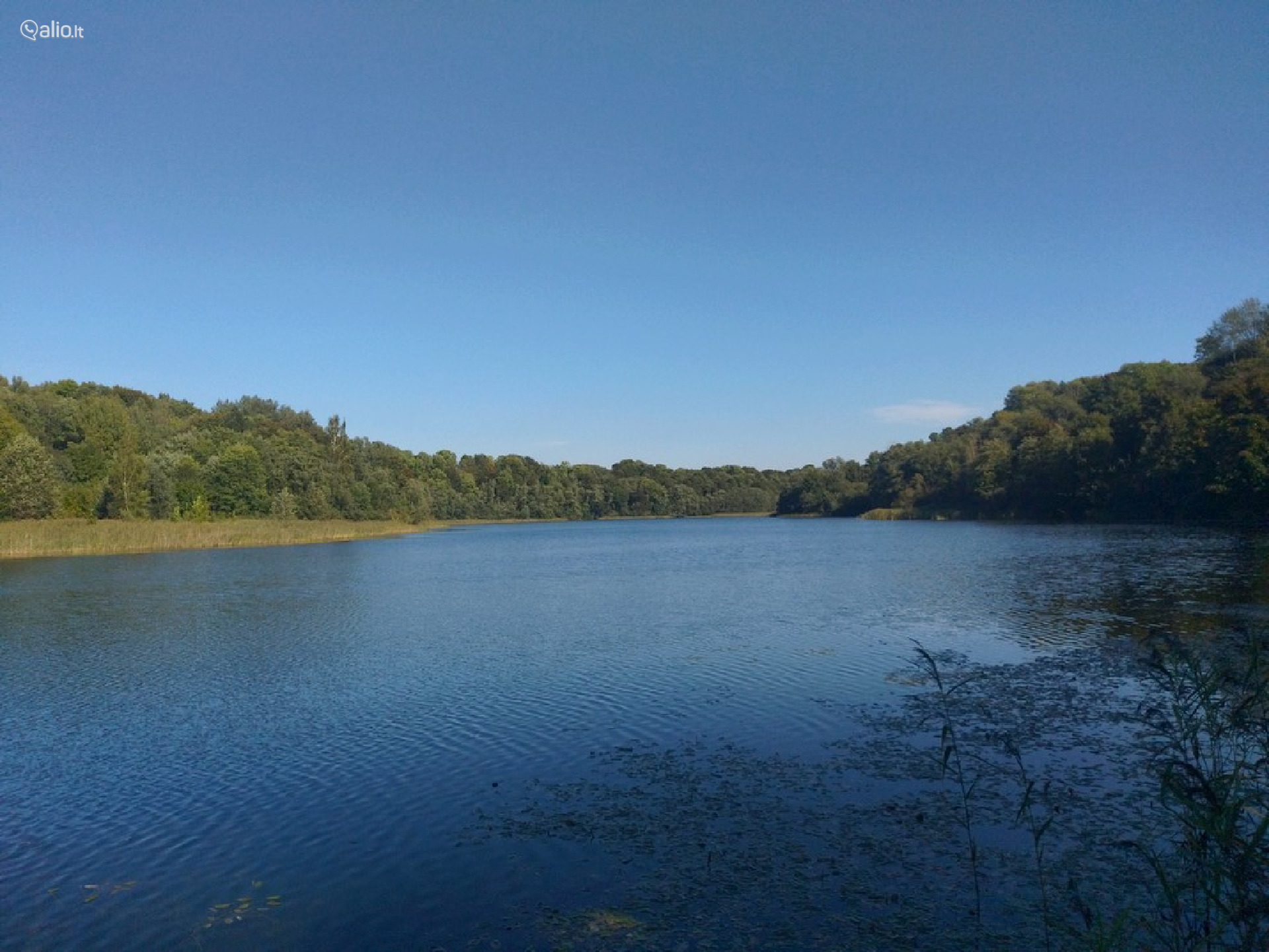 Namų valdos, miškų ūkio paskirties sklypas Širvintų r. sav.