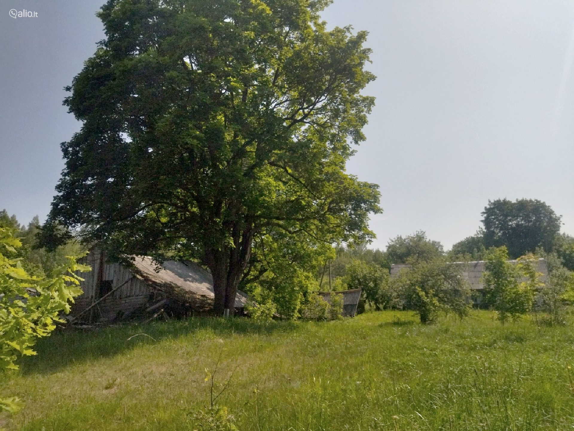 Parduodama SODYBA NUOSAVAME MIŠKE Beržinkų vs. 6, Švenčionių raj.