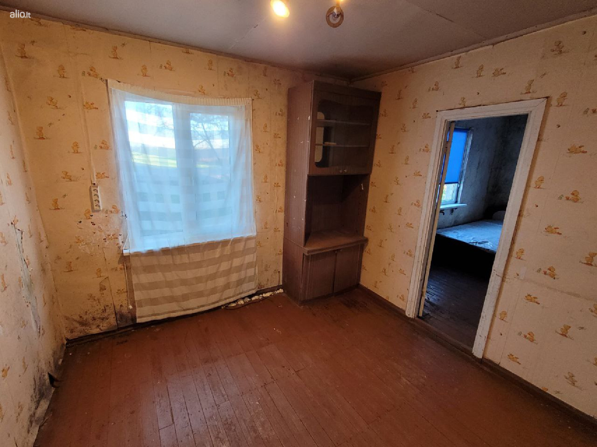 Erdvi sodyba šalia Radviliškio