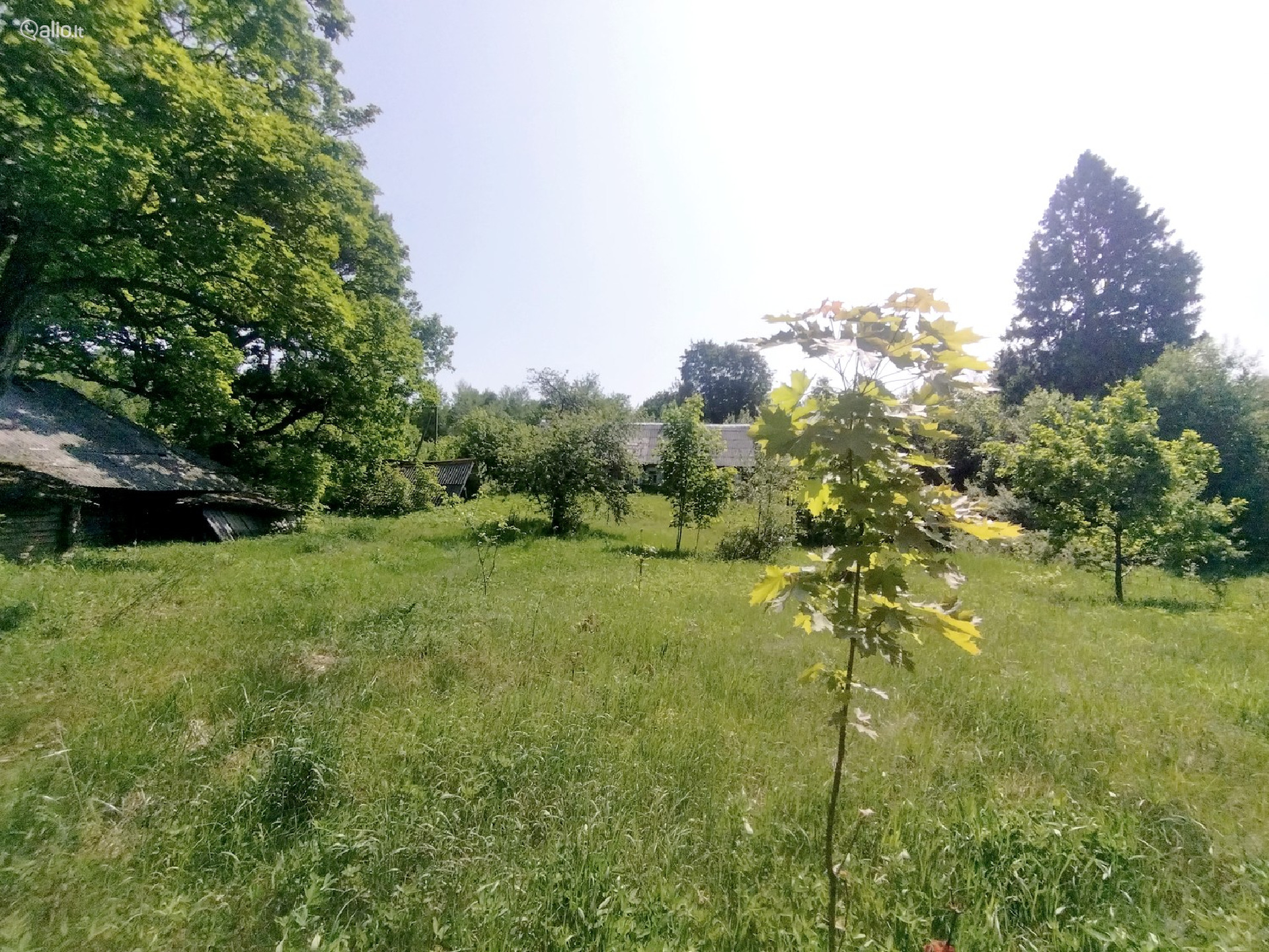 Parduodama SODYBA NUOSAVAME MIŠKE Beržinkų vs. 6, Švenčionių raj.