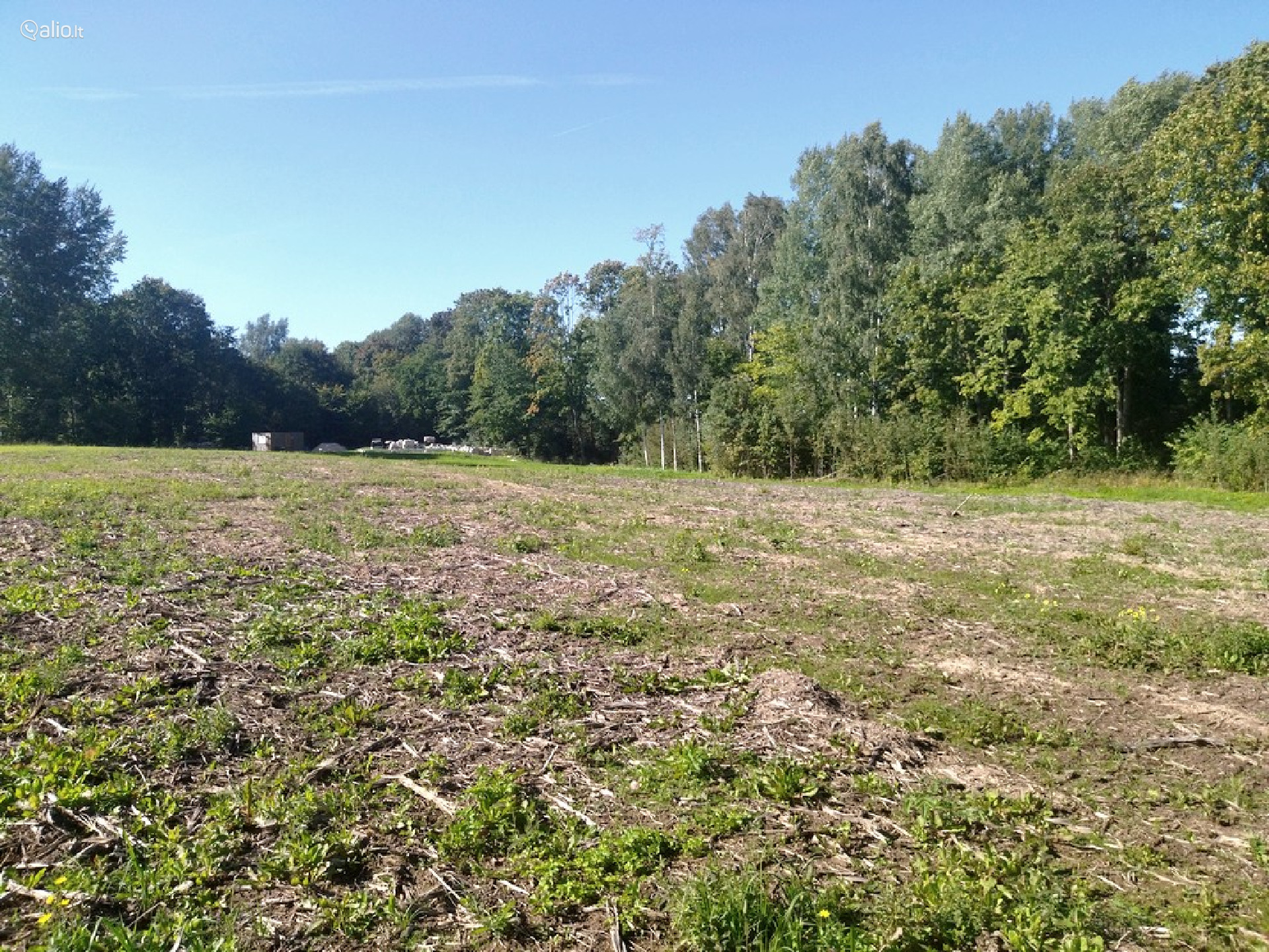 Namų valdos, miškų ūkio paskirties sklypas Širvintų r. sav.