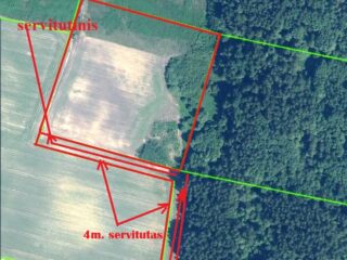 Zumbrickiu-reg.-is-arti