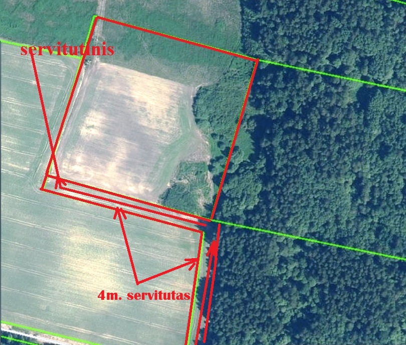 ha prie Bistrampolio dvaro Žumbrickių km. Panevėžio r.