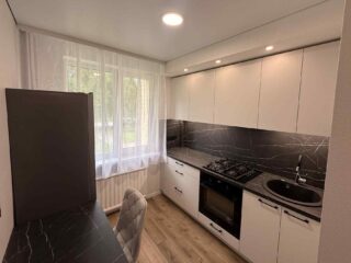 klaipeda-vingis-silutes-pl-7