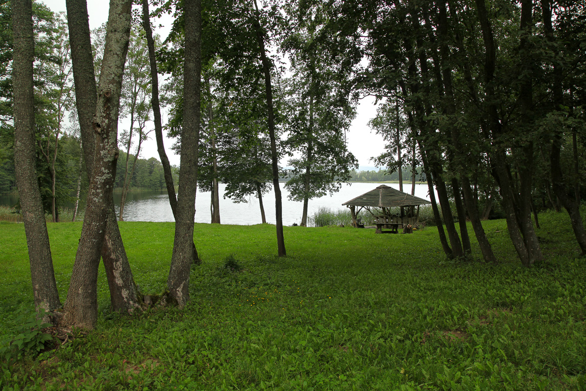 Parduodama su Duburio ežeru besiribojanti SODYBA Zarasų rajone